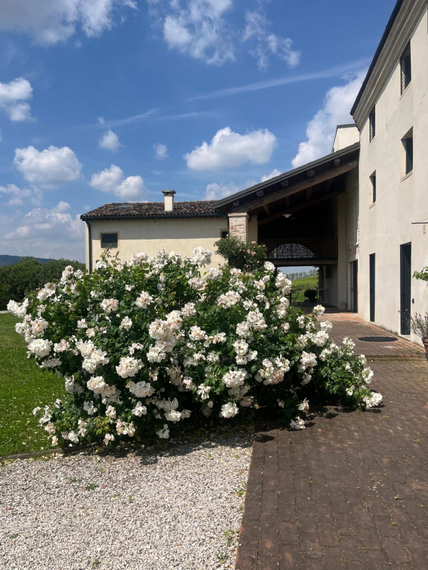 Corte Monticello Barbarano Vicentino Exterior photo